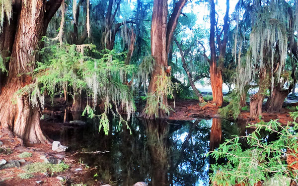 camping hiking el fresno waterfalls soyaniquilpan